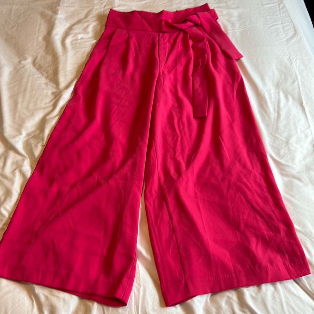Zara wide leg culottes in size small